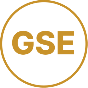 GSE Consultora logo